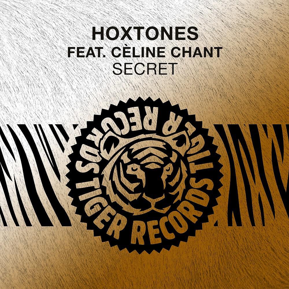 Hoxtones - Secret (Late Berlin Remix)