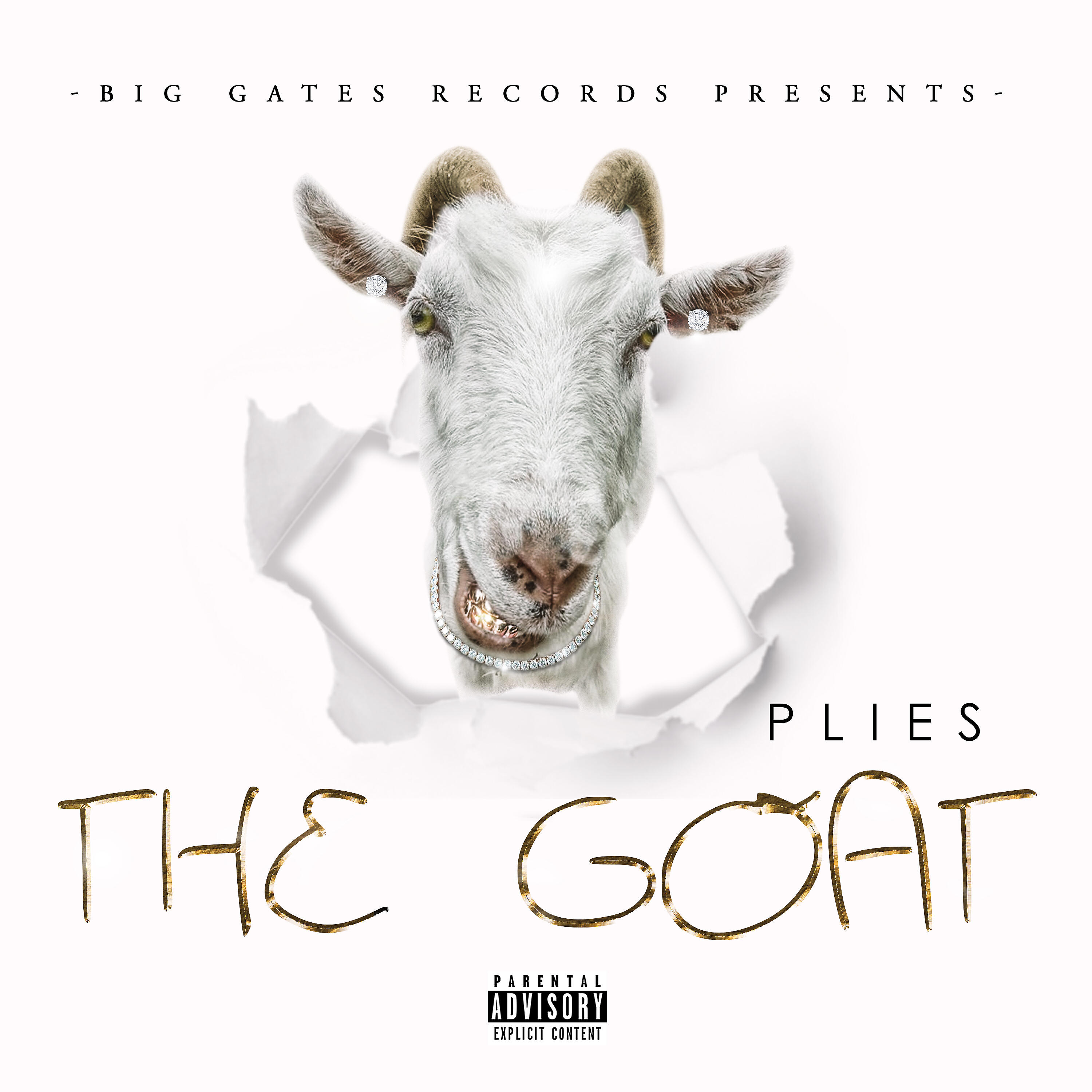 Plies - REP