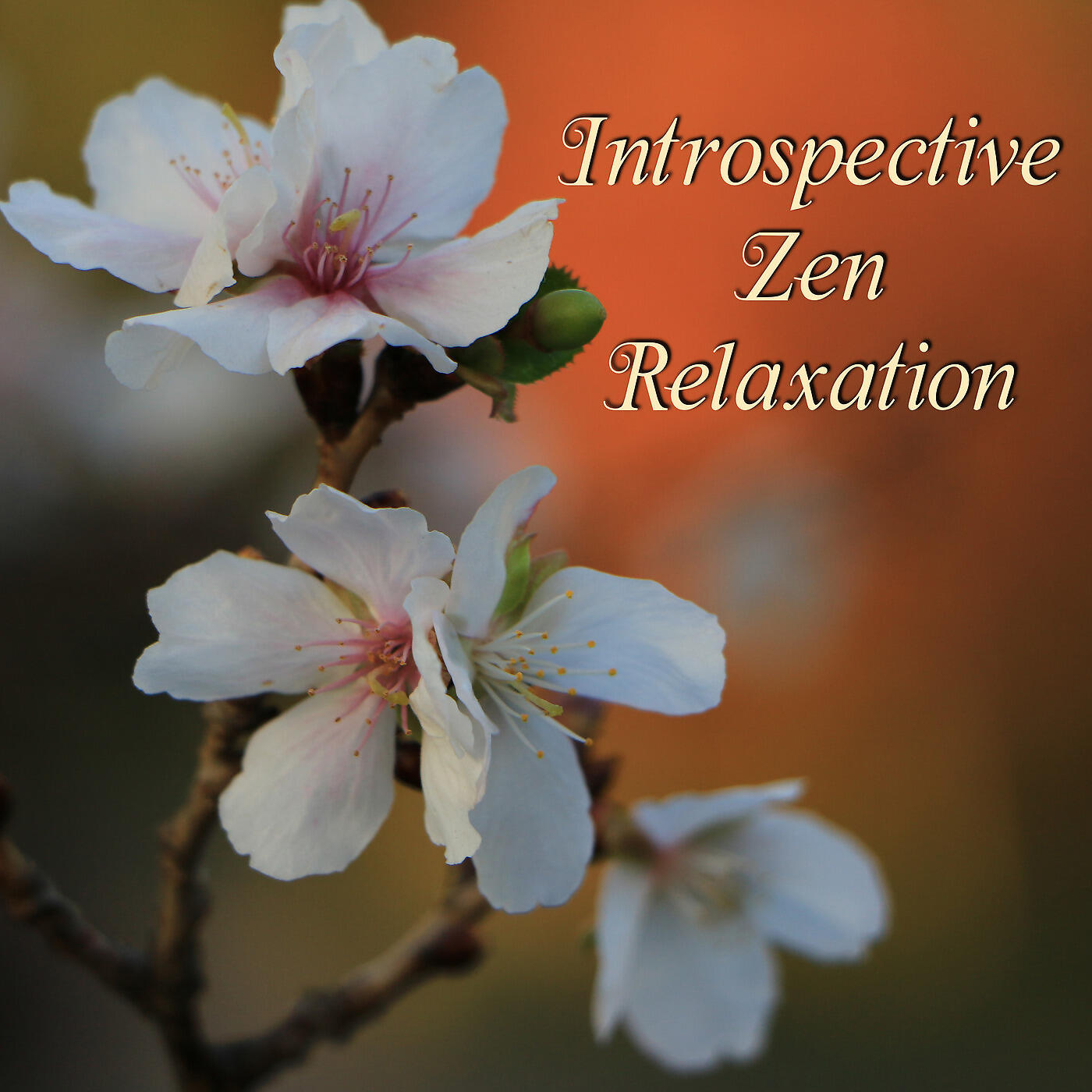 Zen Meditation Garden - Landscape of Mindfulness