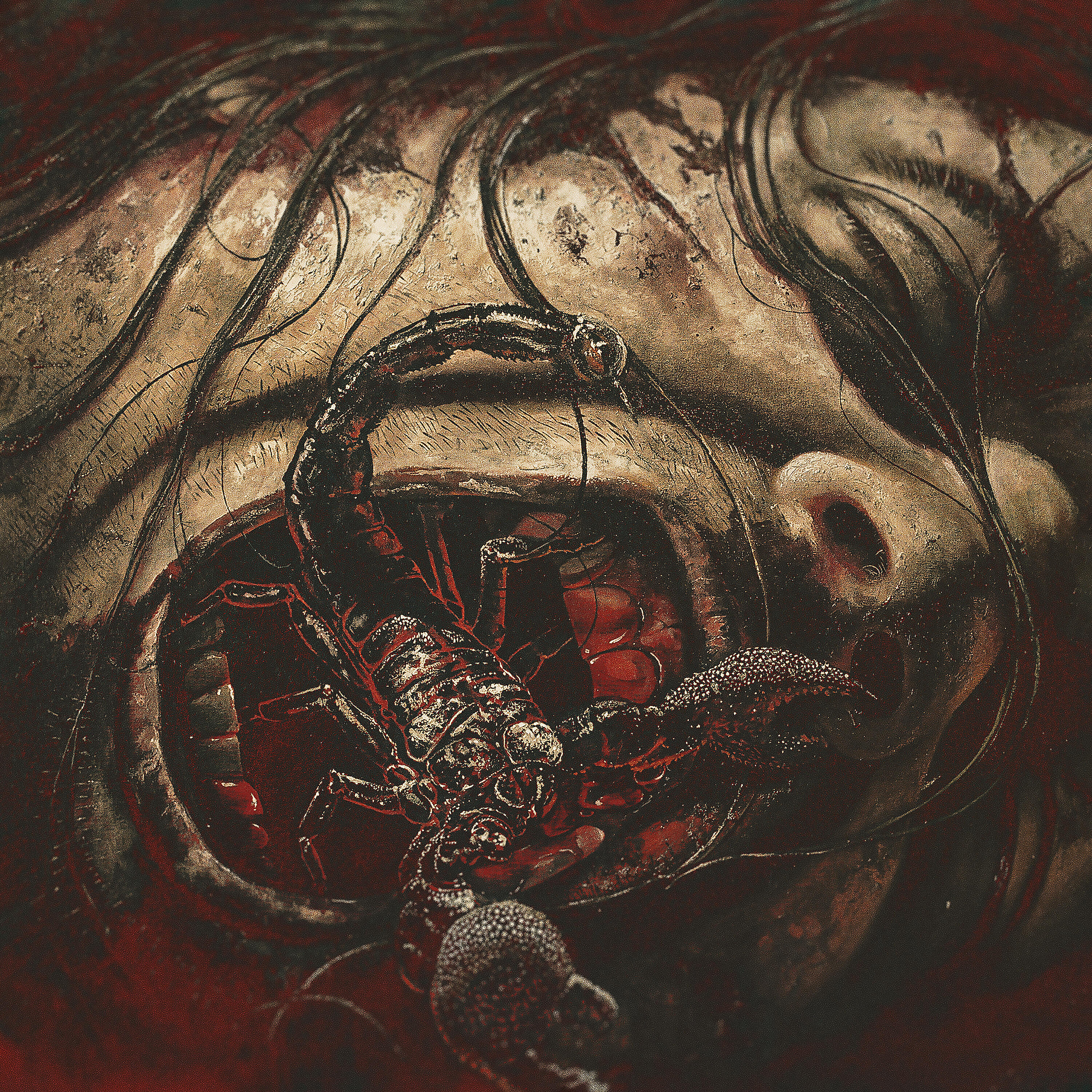 Oh - Fissure