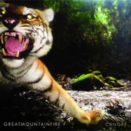 Great Mountain Fire - Late Lights