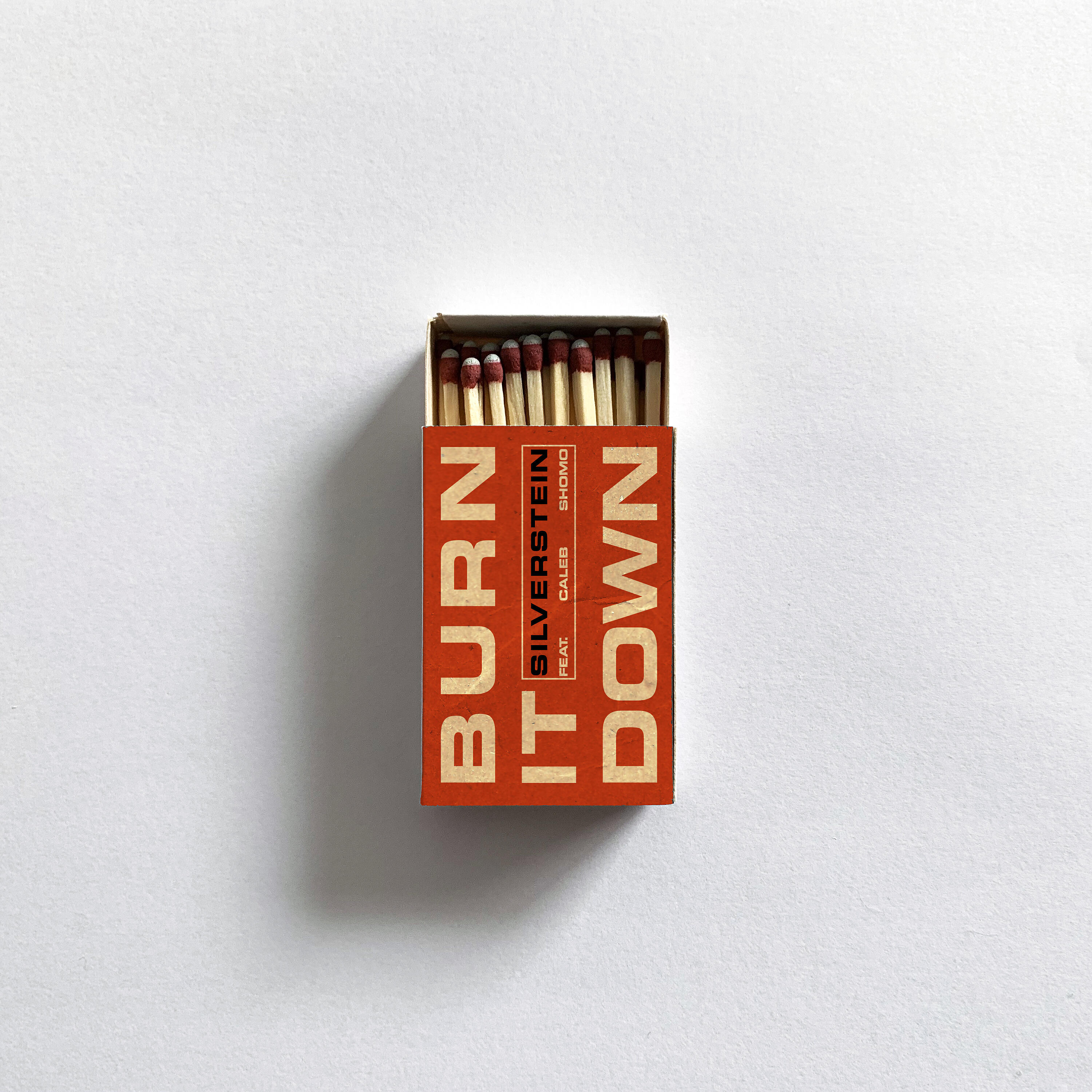 Caleb Shomo - Burn It Down