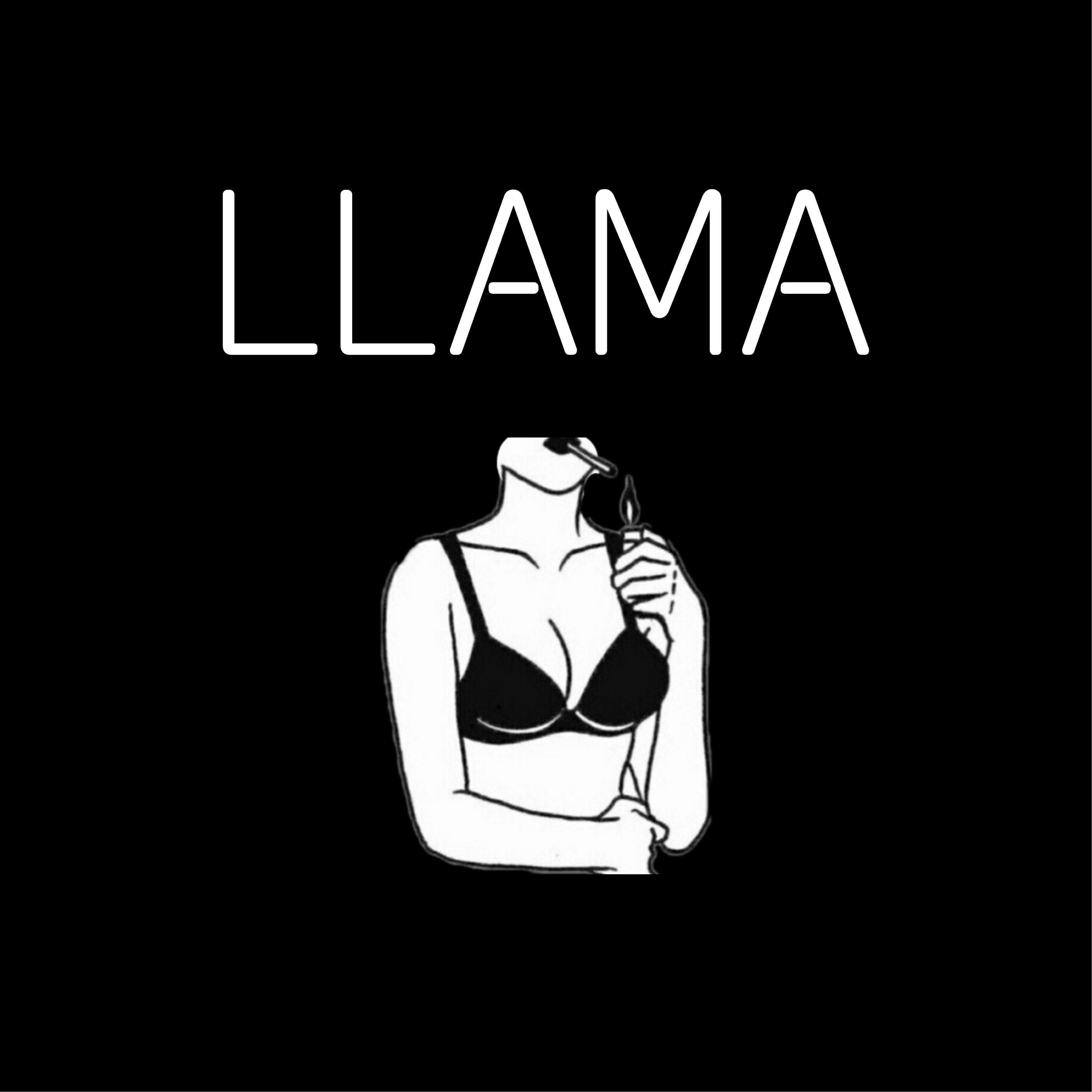 Gael Nieves - Llama