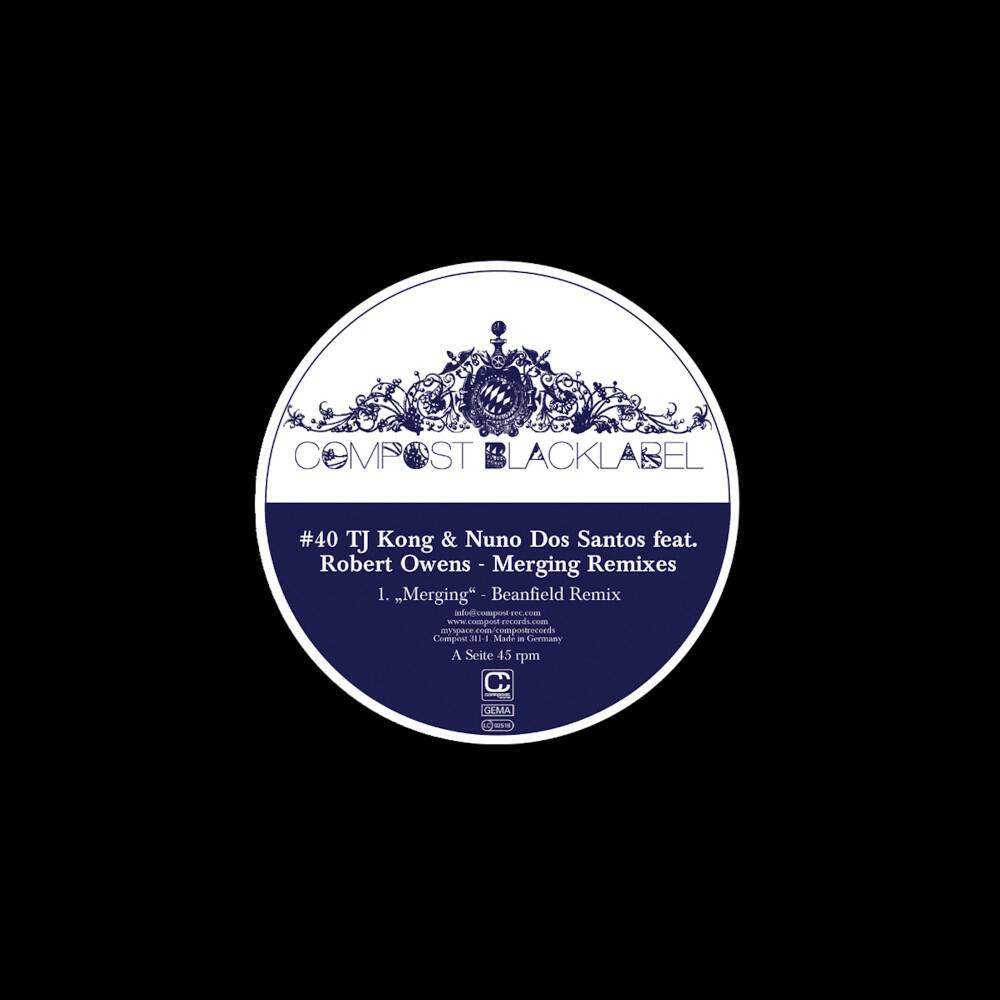 TJ Kong - Merging - Feat. Robert Owens (Beanfield Remix - Instrumental)