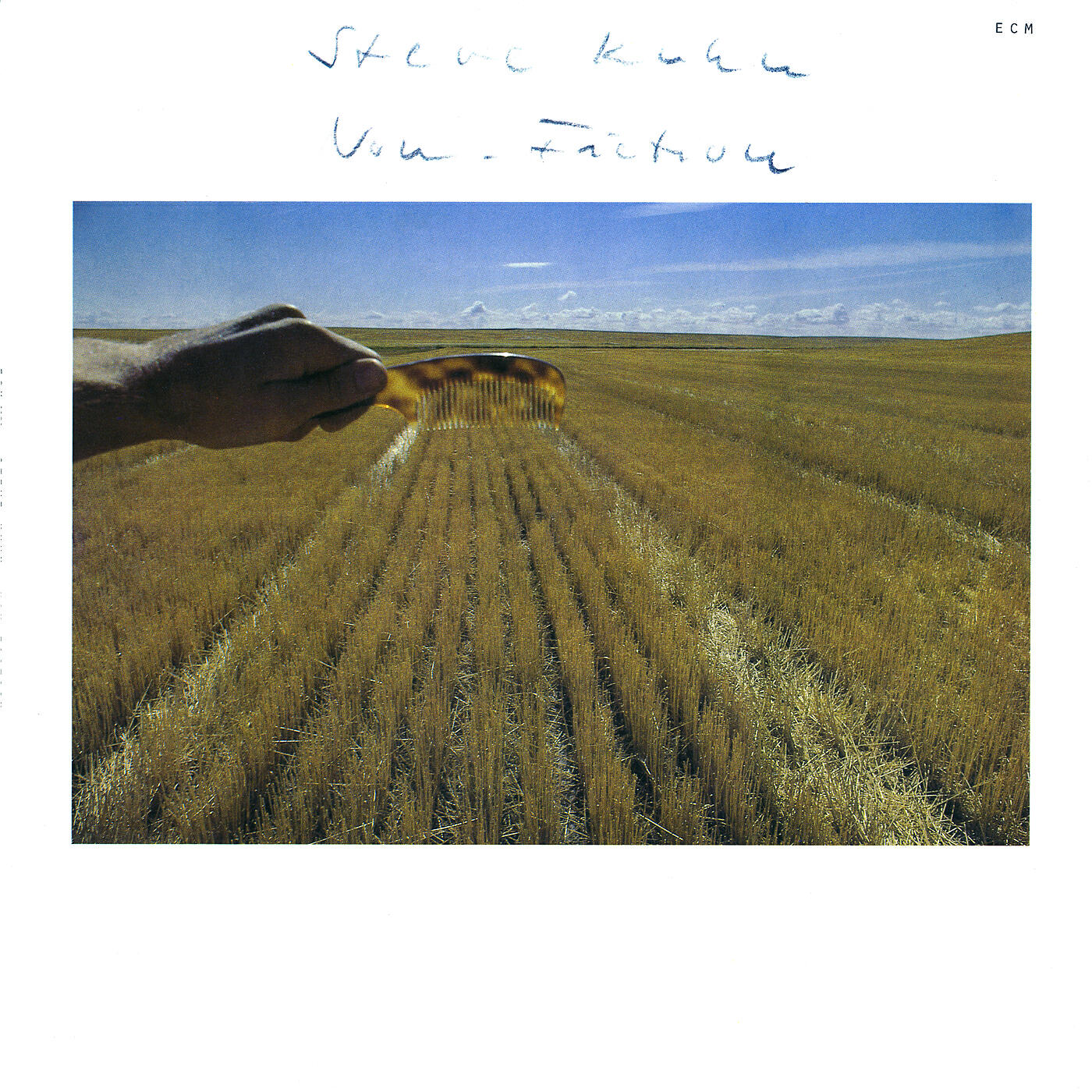 Steve Kuhn - The Fruit Fly