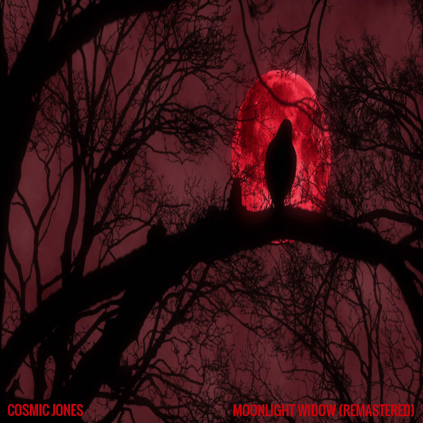 Cosmic Jones - Jaguar Jupiter (Remastered)