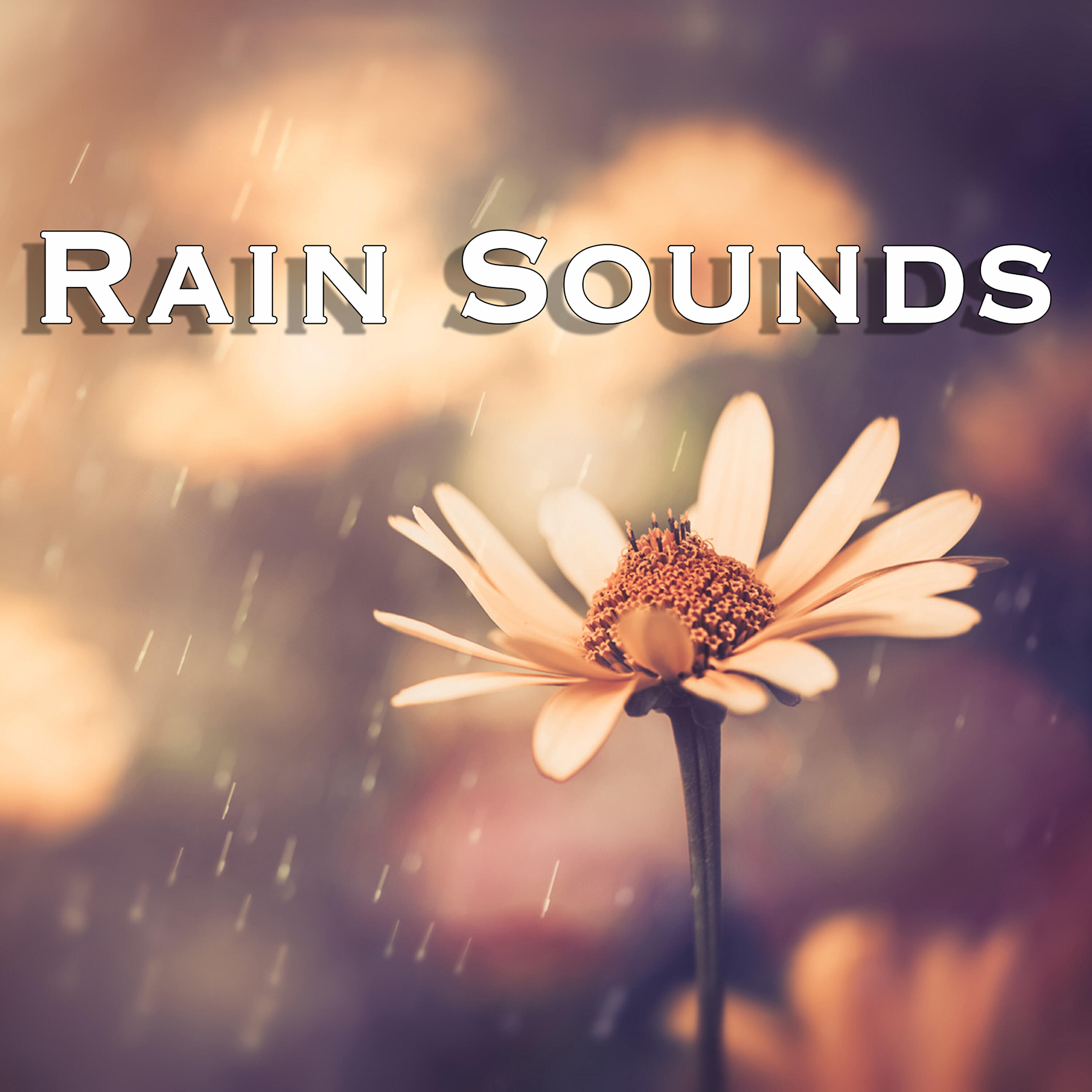 Rain Sounds - Rain: Wellness