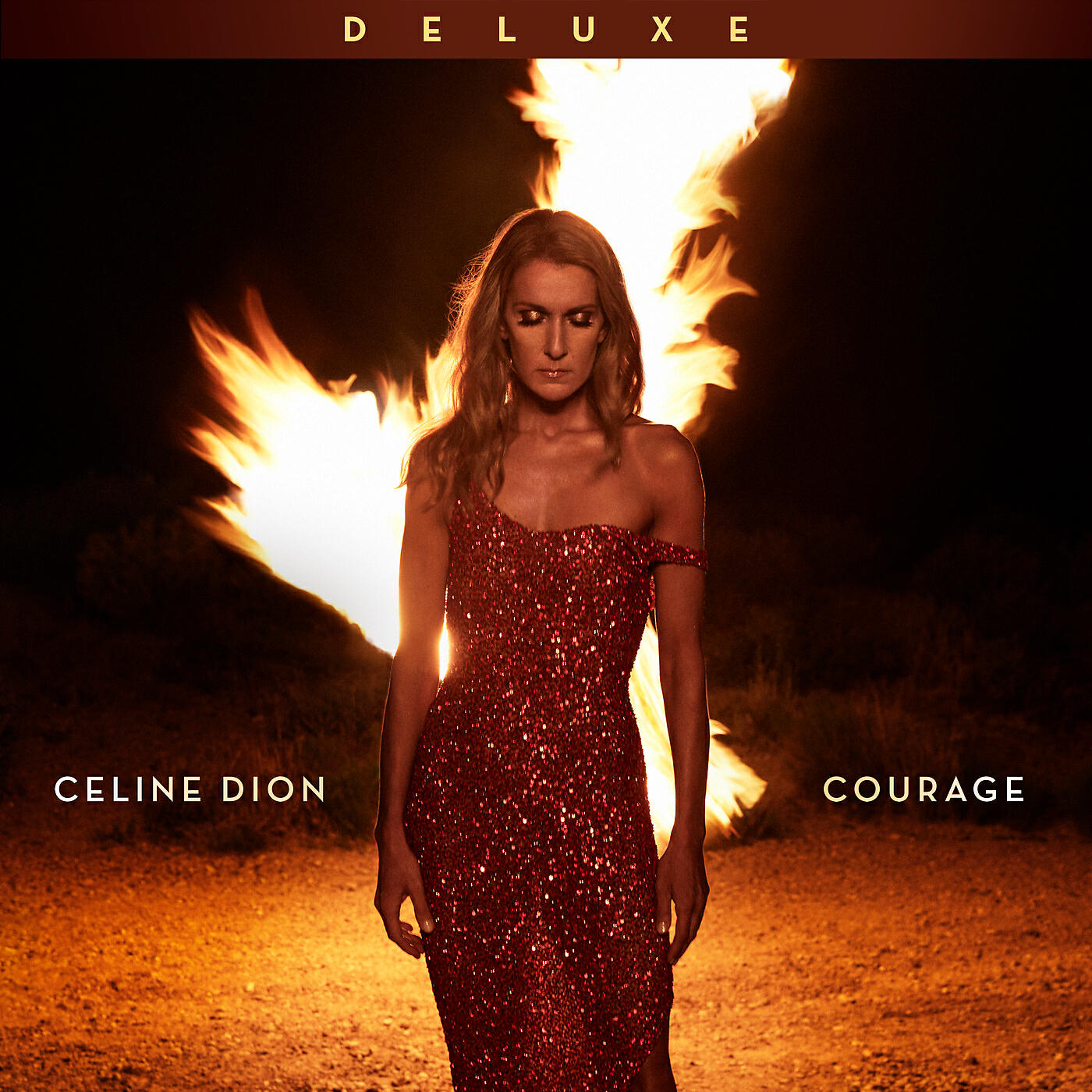 Celine Dion - Imperfections
